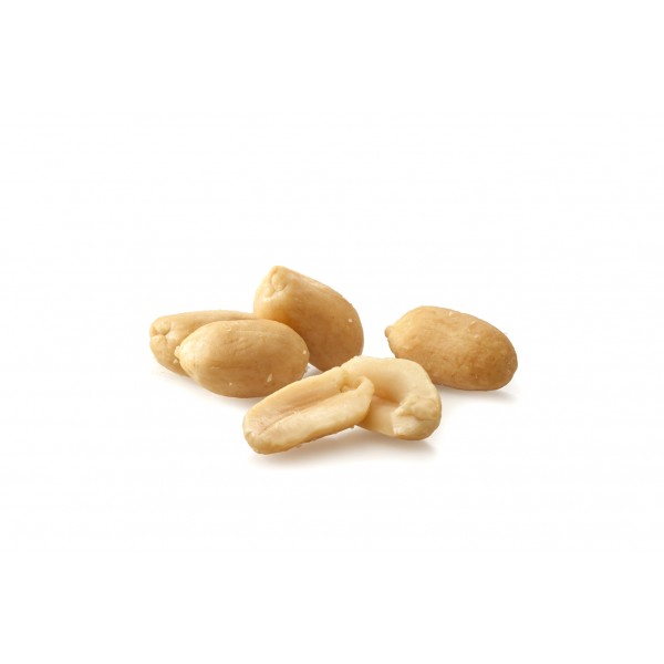 raw - dried nuts - PEANUT KERNELS BLANCHED RAW RAW NUTS